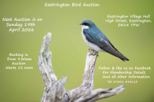 EASTRINGTON BIRD AUCTION - 21st December