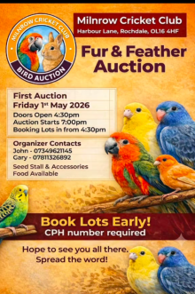 Milnrow cricket club bird Auction 
