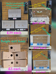 Various cages, nest boxes and nest pans!