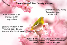 **CORONATION HALL BIRD SOCIETY AUCTION**