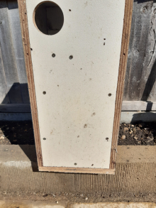 Used Nestboxes 
