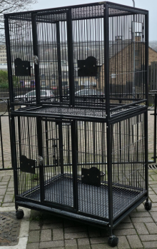 Rainforest Cage Double Breeding or Disp