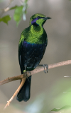 1000030673