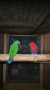 IMG-20260517-WA0000