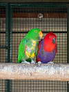 IMG-20260527-WA0001