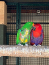 IMG-20260527-WA0002
