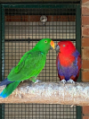 IMG-20260527-WA0004